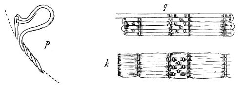 Diagrams k, p and q