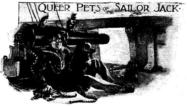 QUEER PETS OF SAILOR JACK