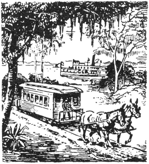 {Mule-drawn streetcar}