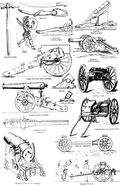 Plate 14