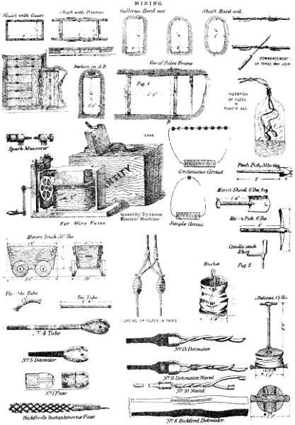 Plate 24