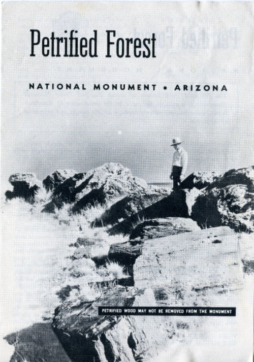 Petrified Forest National Monument · Arizona