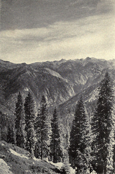 A Sierra Cañon (King’s River Cañon from Lookout Peak)