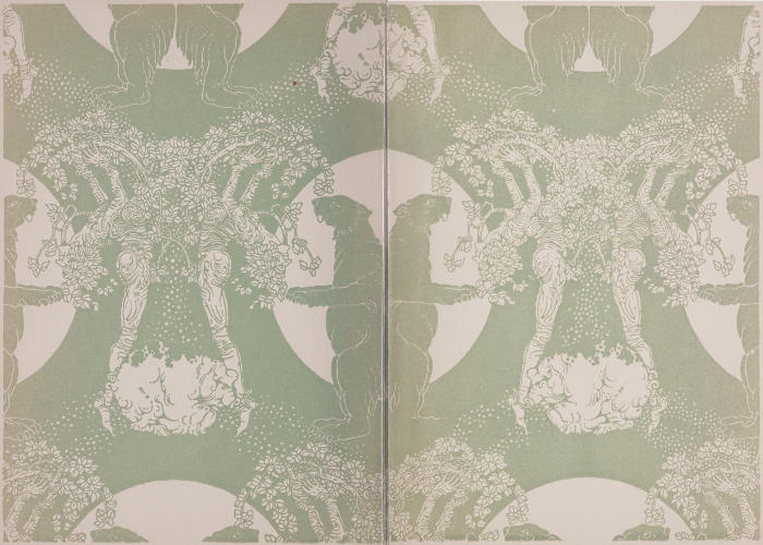 Illustrated endpapers