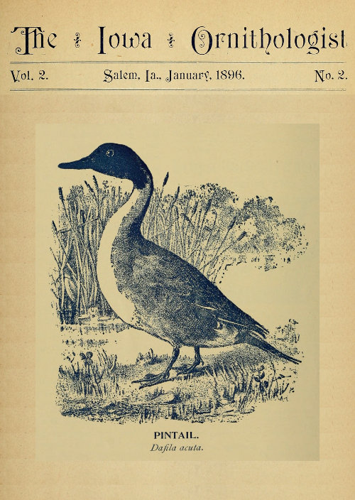 The Iowa Ornithologist, Vol. 2, No. 2, January 1896