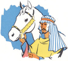 Arabian and horse