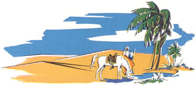 Horse at desert oasis