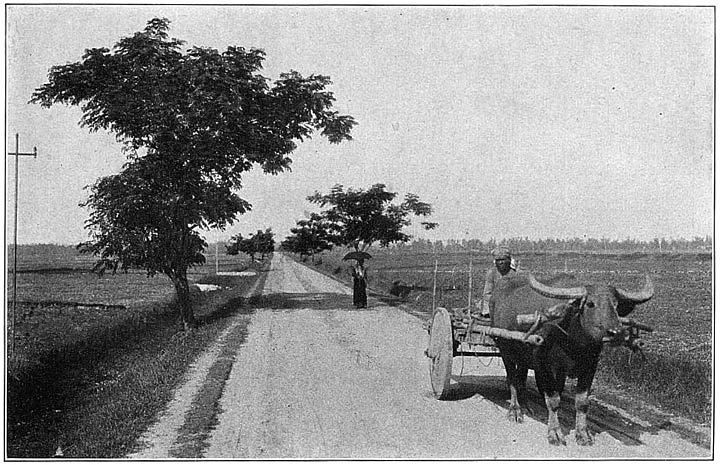 A typical country scene