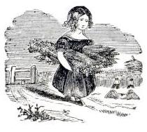 girl carrying corn
