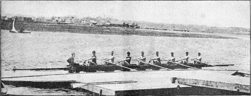 Harvard Rowing Eight
