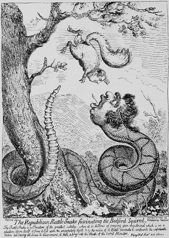 _The Republican Rattle-snake fascinating the Bedford Squirrel._ _The Rattle Snake is a Creature of the greatest subtilty; when it is desirous of preying upon any Animal which is in a situation above itself it fixes its Eye upon the unsuspecting object & by the noise of its Rattle fascinates & confounds the unfortunate Victim till losing all Sense & discernment, it falls a prey into the Mouth of the horrid Monster._ Pliny’s Nat. Histr. vol. 365—
