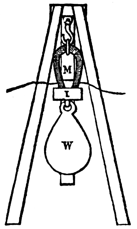 M: horseshoe magnet holding weight W