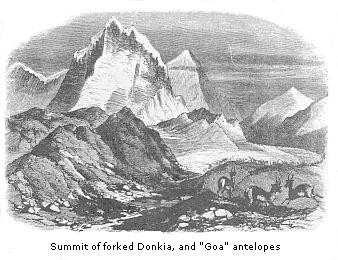 Summit of forked Donkia, and “Goa” antelopes