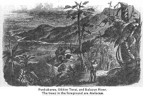 Punkabaree, Sikkim Terai, and Balasun River.