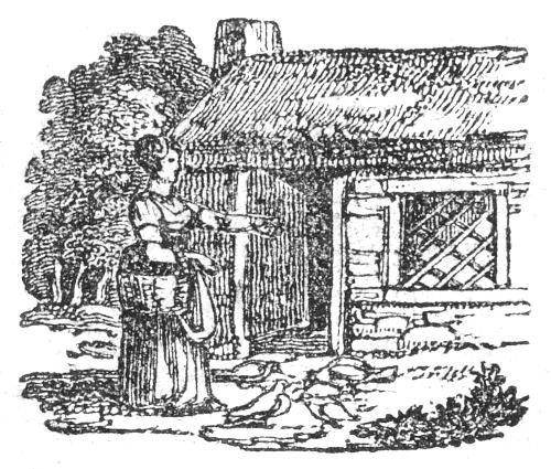 A woman feeding doves outside a cottage