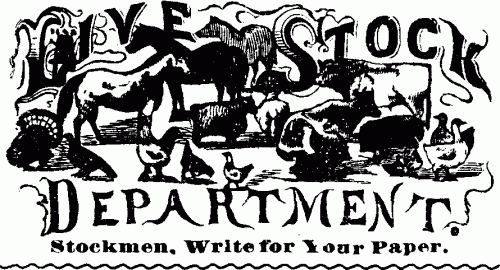 LIVESTOCK DEPARTMENT. Stockmen, Write for Your Paper.