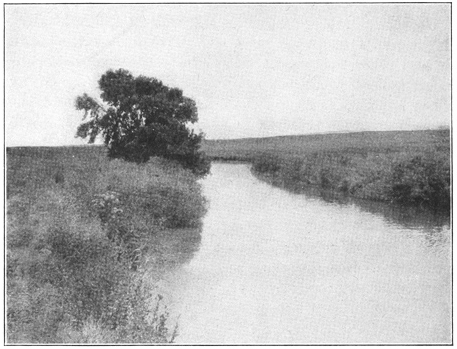 Prairie Stream