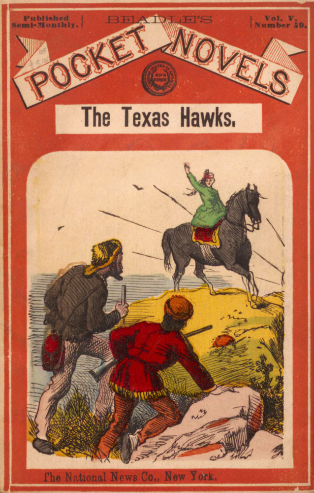 The Texas Hawks; Or, The Strange Decoy