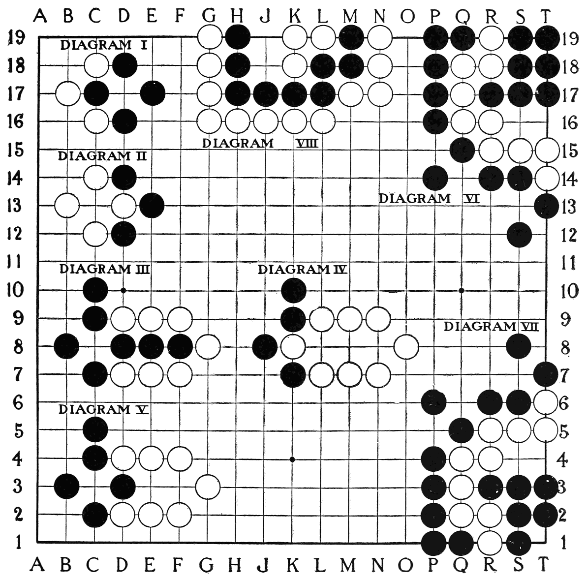 Plate 6