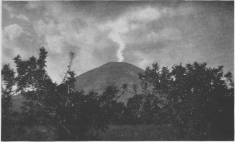 THE ABUNDANT CENTRAL-AMERICAN VOLCANOES FERTILIZE THE COFFEE FINCAS WITH LAVA DUST