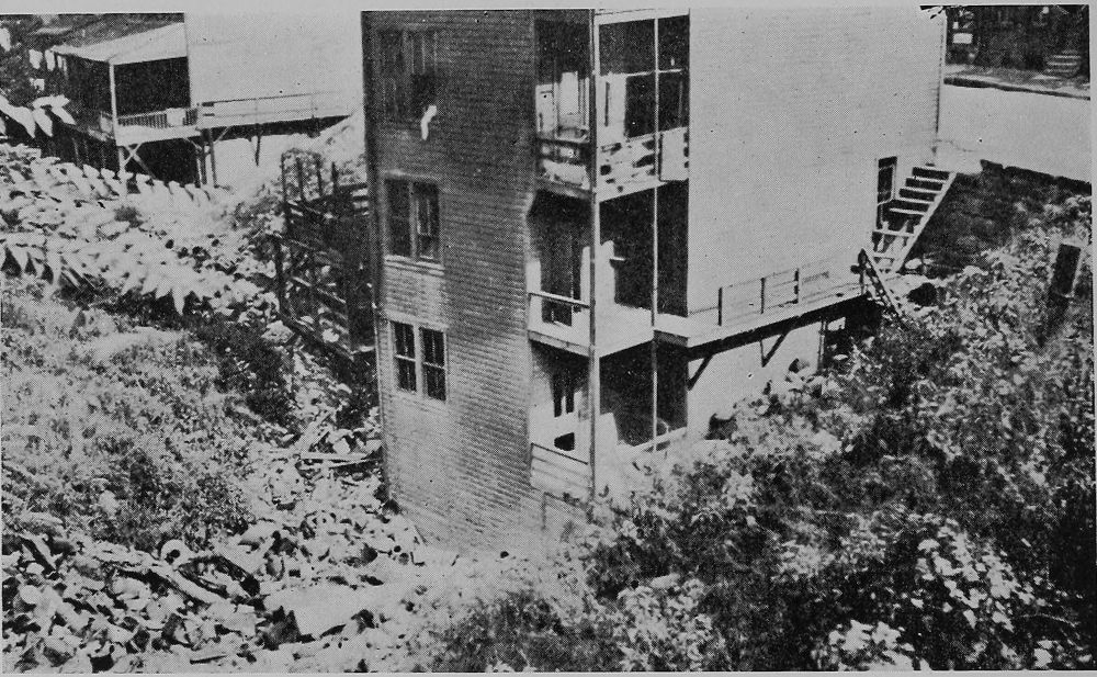 Rear View of Tenement Near Soho Dump. Note Refuse on Left and Street Level on Right.