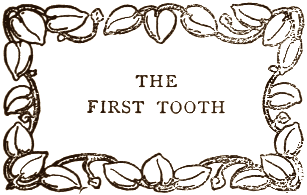 THE FIRST TOOTH