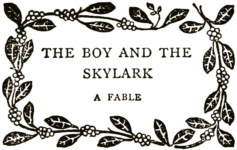 THE BOY AND THE SKYLARK: A FABLE