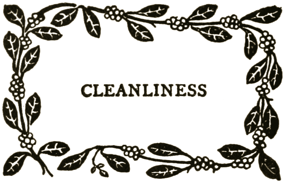 CLEANLINESS