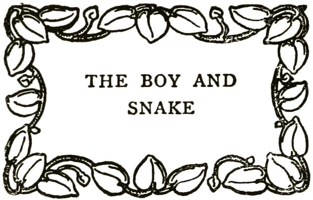 THE BOY AND SNAKE