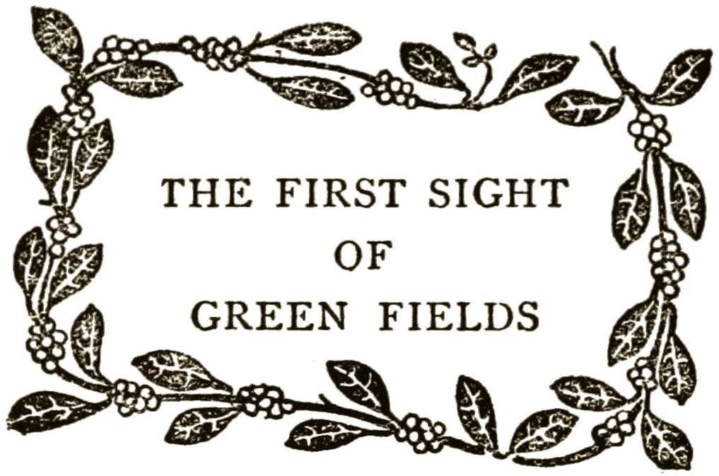 THE FIRST SIGHT OF GREEN FIELDS