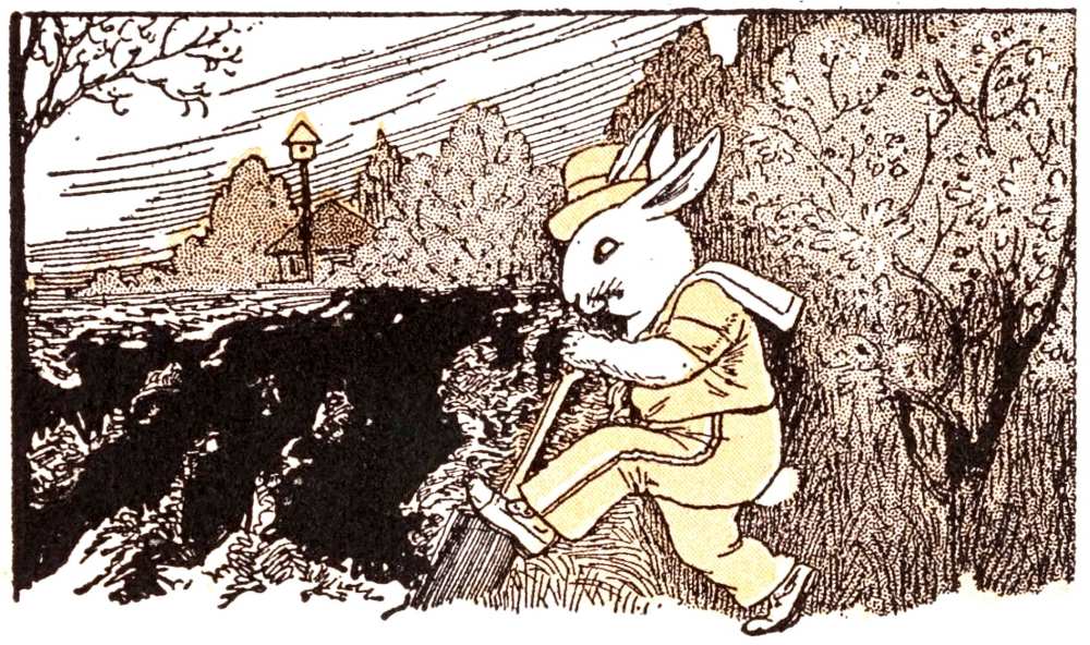 rabbit digging