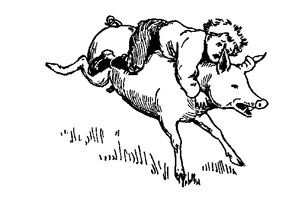 Illustration of Stubbins on the pig's back.