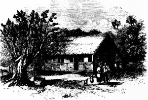 a Pitcairn cottage