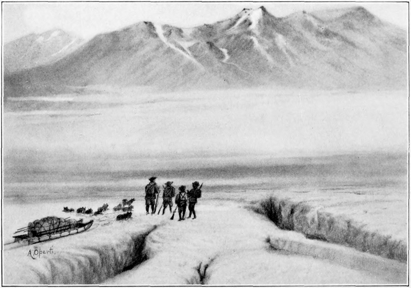 four men and dogs stand, looking at a distant mountain range