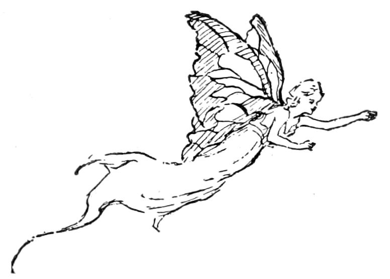 Fairy flying