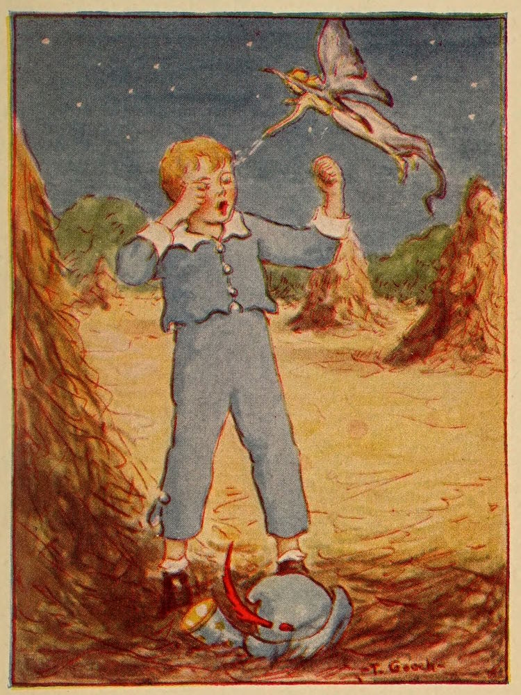 Boy standing with fairy above