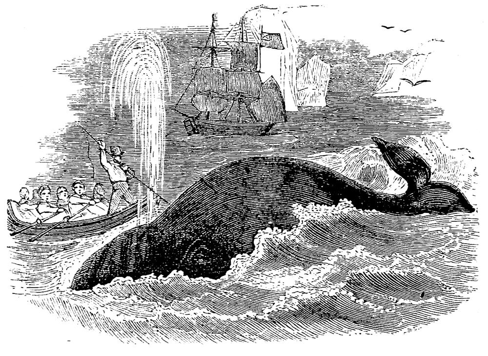 Whale and ships