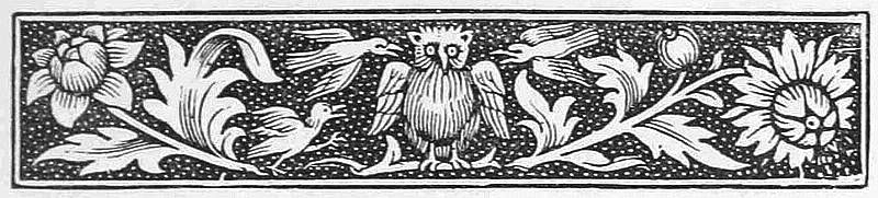 Decorative banner with an owl.