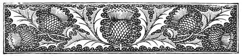 Decorative banner with a thistle.