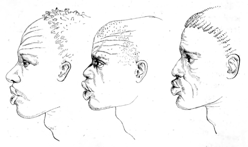 Profiles of the Dinka
