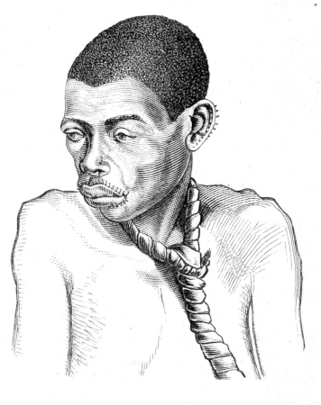 Babuckur slave
