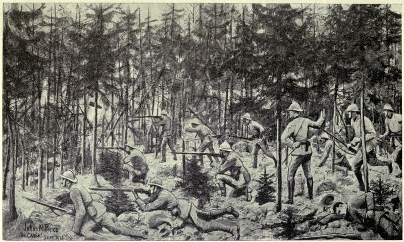 Troops adving through a forest