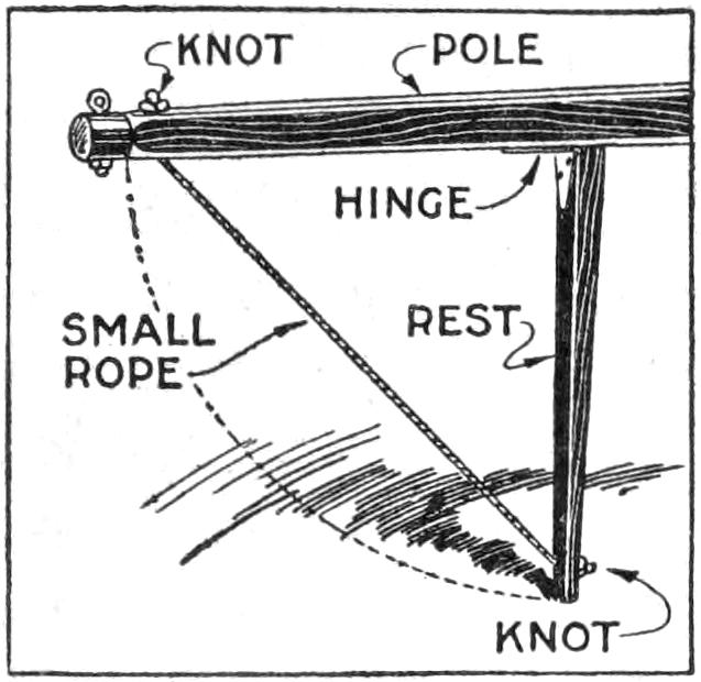 Wagon pole support