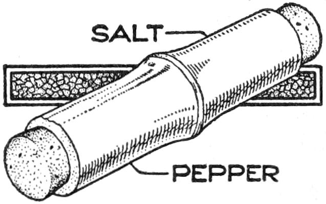 Salt and pepper dispenser