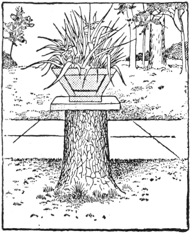 Plant pot on tree stump