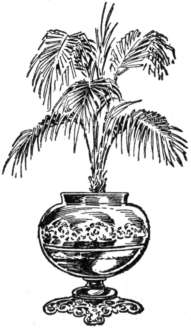 Poted palm in old lamp body