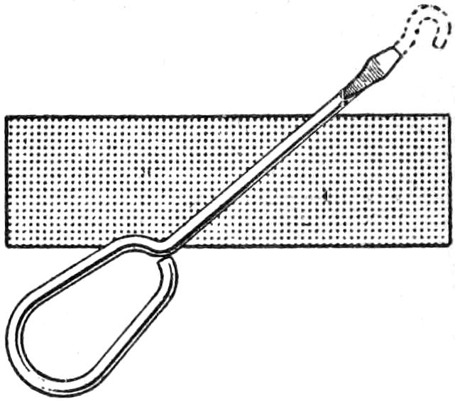 Screwdriver made from buttonhook