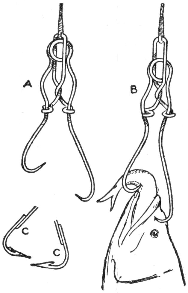 Details of the fishhook
