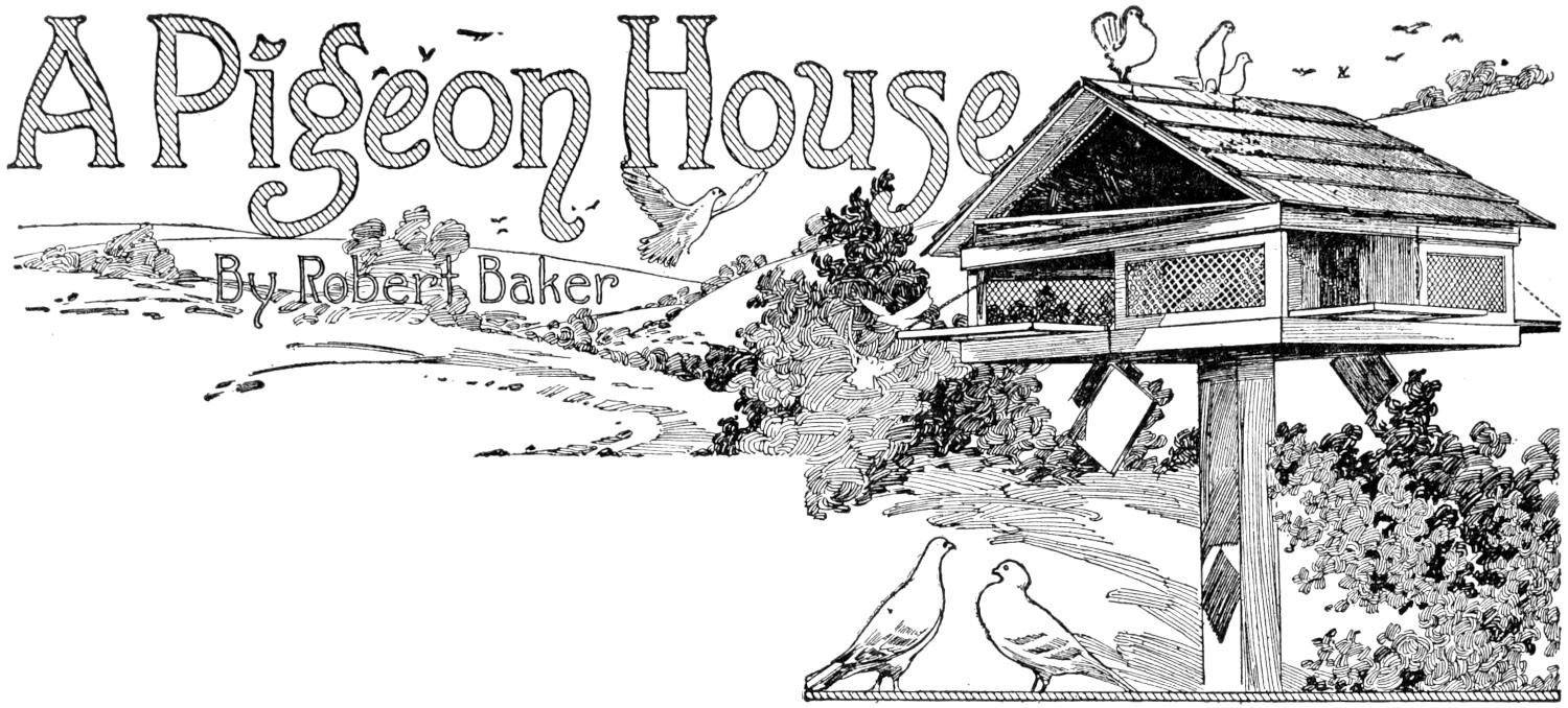 Chapter heading: pigeon house with pigeons