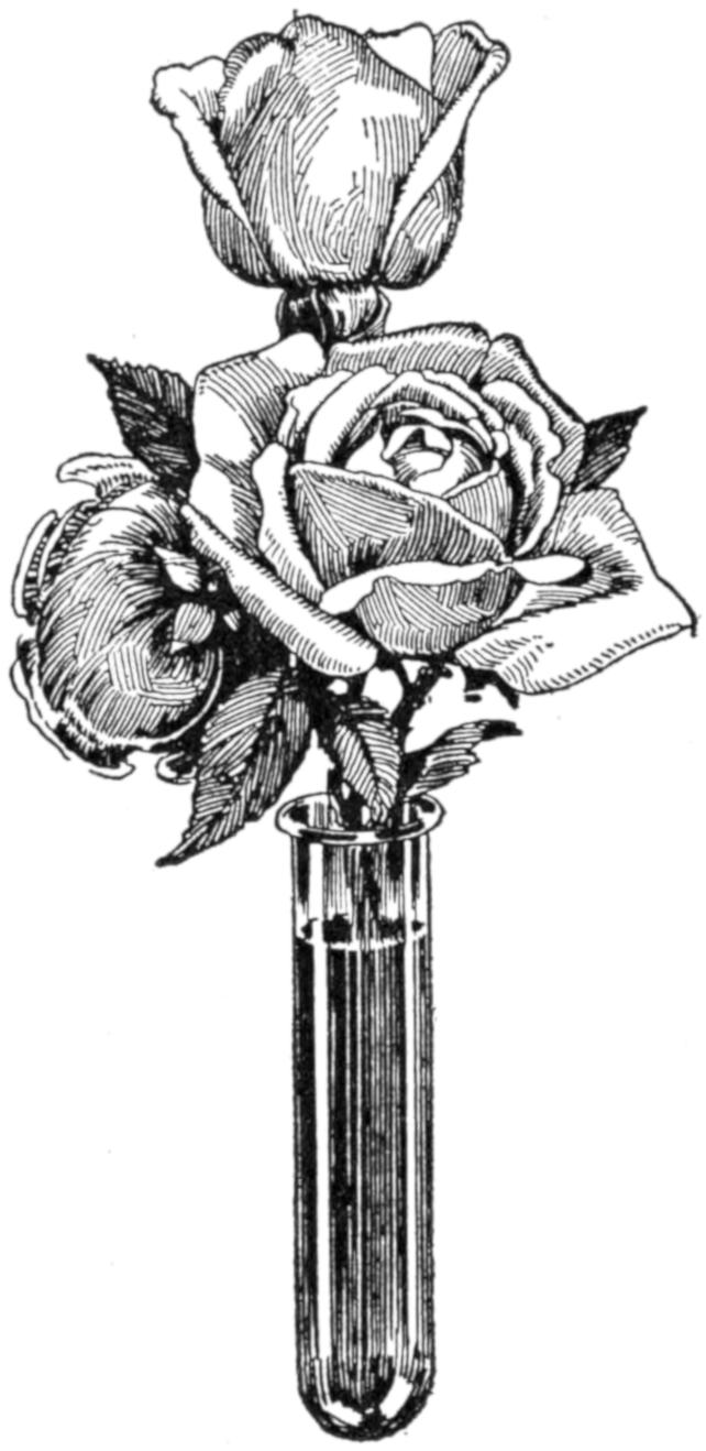 Roses in test tube